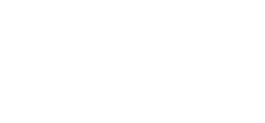 Cesab Carrelli elevatori logo Bianco copia
